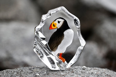 Målerås Wildlife