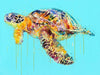 Dave White, Sea Turtle - Framed
