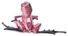 Frogman Bronzes, Passion
