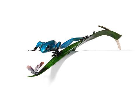 Frogman- Treasure Hunt