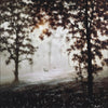 John Waterhouse, Woodland Harmony