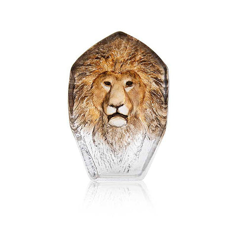 Mats Jonasson, Lion