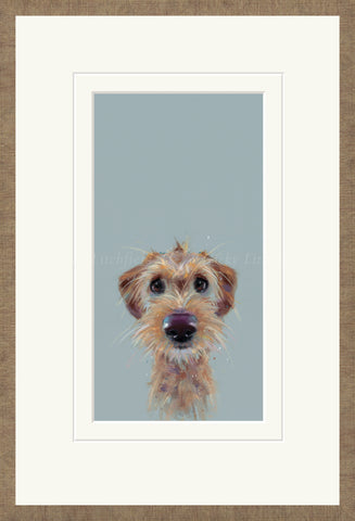 Nicky Litchfield, Scruff - Framed 