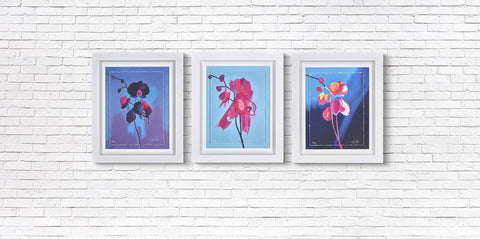 Tim Fowler, Set of 3 Orchids - Framed