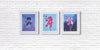 Tim Fowler, Set of 3 Orchids - Framed