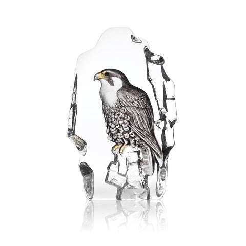 Mats Jonasson Falcon