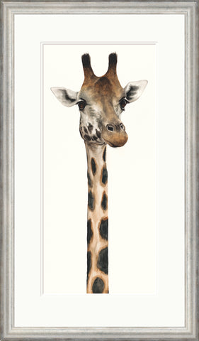 Tall, Dappled and Handsome by Dominique Salm