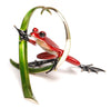 Frogman Arrow 2014