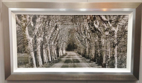 Long Way Home Silver Clare Wright