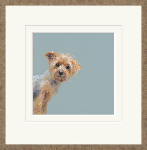 Nicky Litchfield, Yorkie - Framed