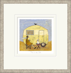 SAM TOFT - This is the Life