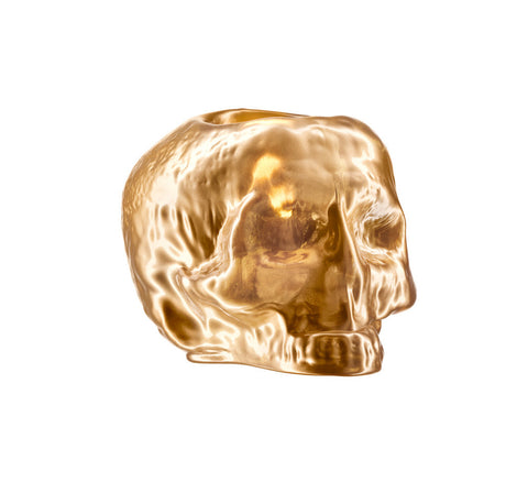 Still Life Metallic Skull - Gold
