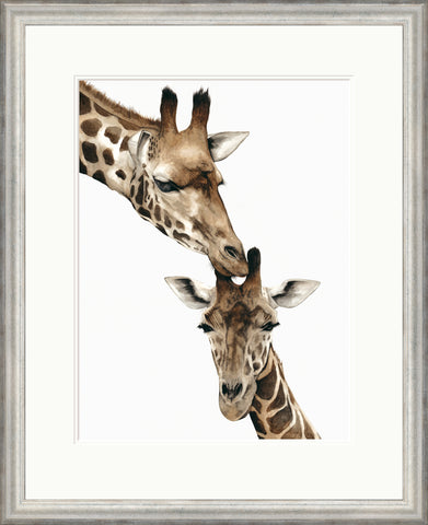 Dominique Salm What are you up to? Frames