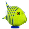 Angel Fish Lime Green