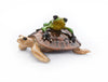 Easy Rider by Frogman Tim Cotterill