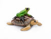 Easy Rider by Frogman Tim Cotterill 3
