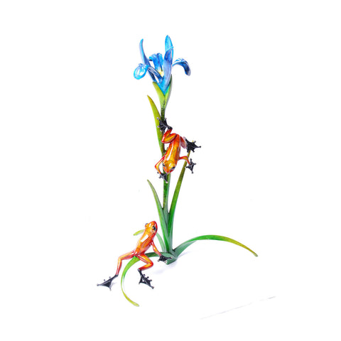 Iris