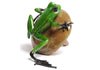 frogman-portobello-right