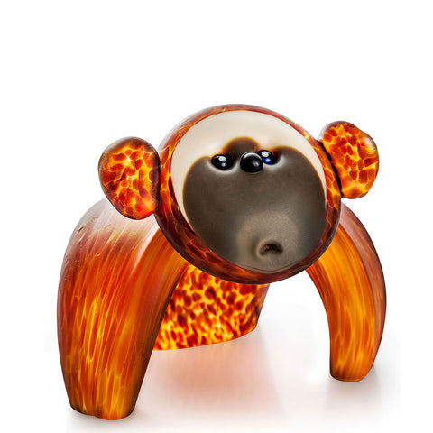 Koongy Amber