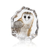 Mats Jonasson Barn Owl