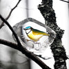 Mats Jonasson Blue Tit