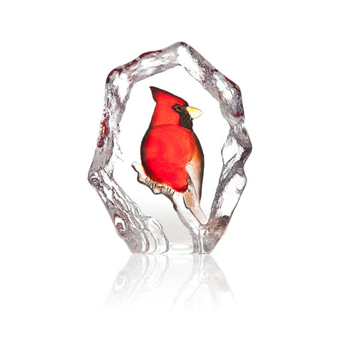 Mats Jonasson, Cardinal