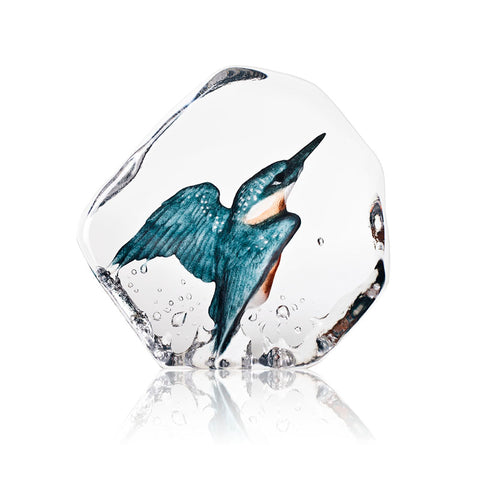 Mats Jonasson Kingfisher