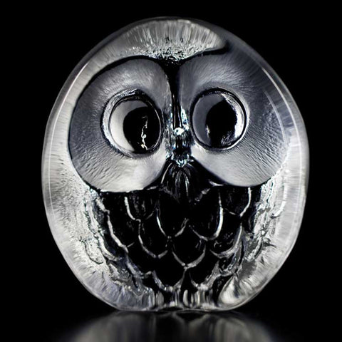 Mats Jonasson,Wildlife Little Owl
