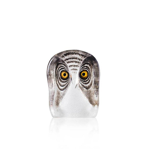 Mats Jonasson, Owl Small