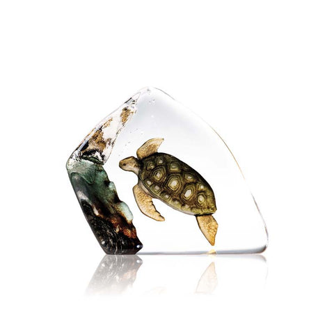 Mats Jonasson Sea Turtle