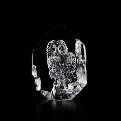 Mats Jonasson - Tawny Owl