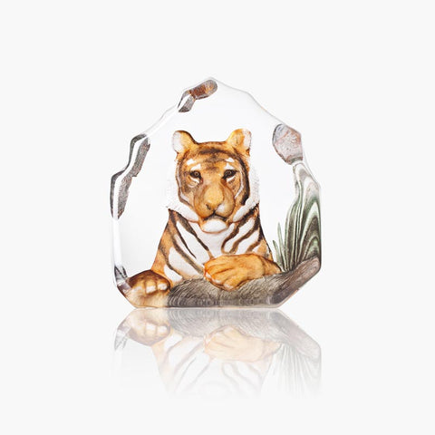 mats-jonasson-Tiger