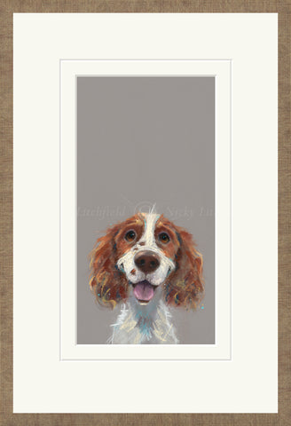 Nicky Litchfield, Happy Go Lucky - Framed