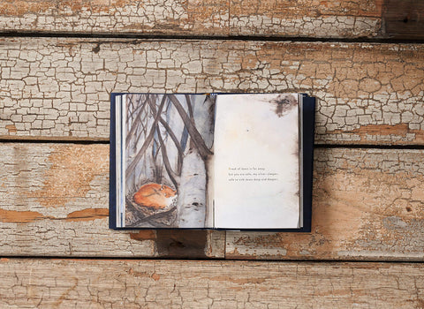 Robert Macfarlane and Jackie Morris, The Lost Spells, inside page