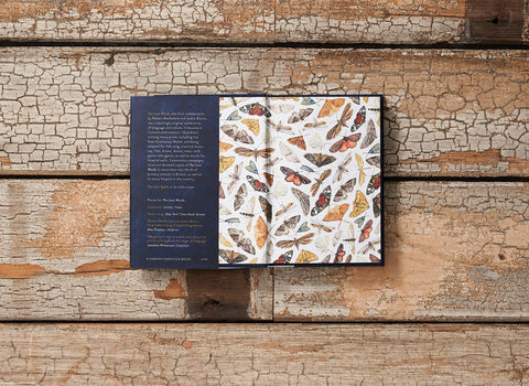 Robert Macfarlane and Jackie Morris, The Lost Spells, Inside