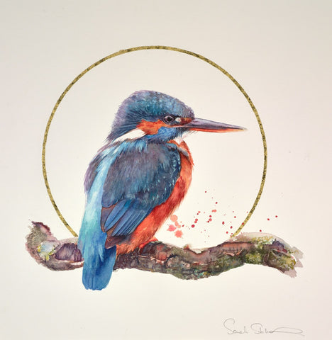 Sarah Stokes,Gilded Kingfisher