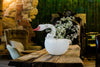 Borowski Cygnet White
