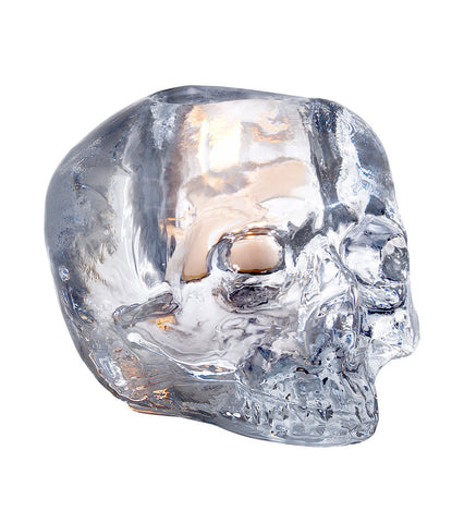 Still Life Skull - Clear