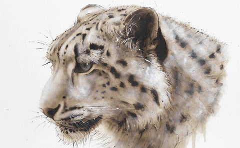 Buy David Rees Art Prints - Treeby & Bolton