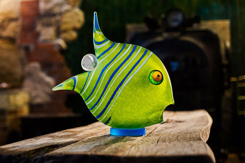 Borowski Angelfish