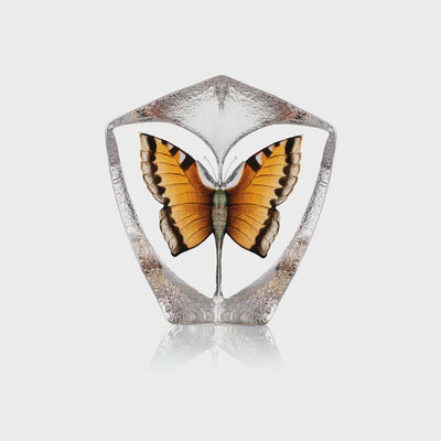 MALERAS - Butterfly Orange