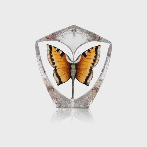 Butterfly Orange