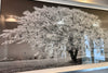 Clare Wright, Weeping Willow - Framed