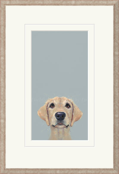 NICKY LITCHFIELD - Eager to Please