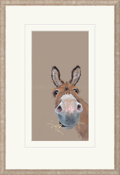 NICKY LITCHFIELD - Elevenses