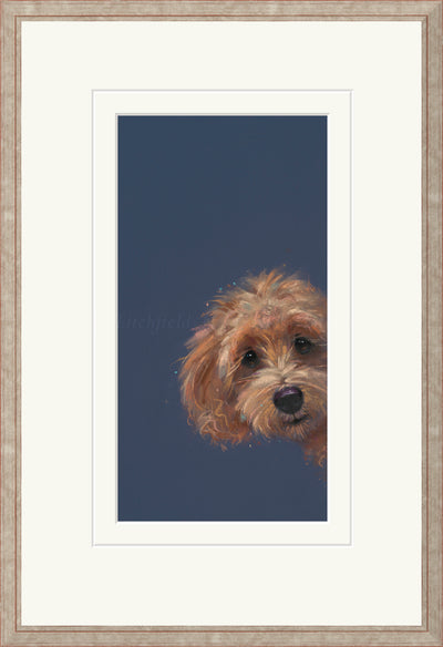 NICKY LITCHFIELD - Sneaky Peek