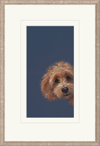 Nicky Litchfield, Sneaky Peek - Framed