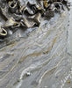 Clare Wright, Ebb and Flow - Details