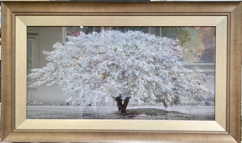 Clare Wright, Weeping Willow Gold - Framed