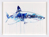 Dave White, Great White - Framed